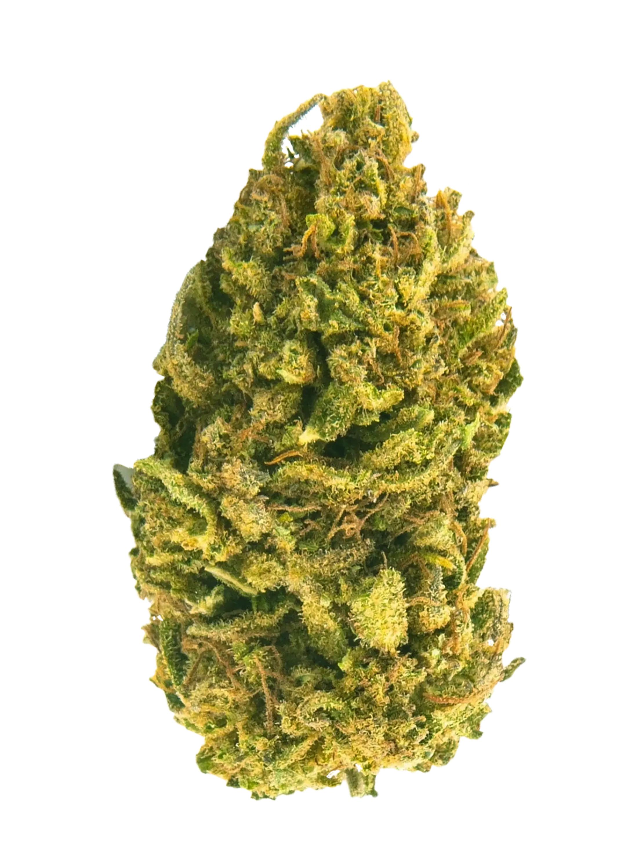 Critical Mass | 20g. | Fleurs de CBD