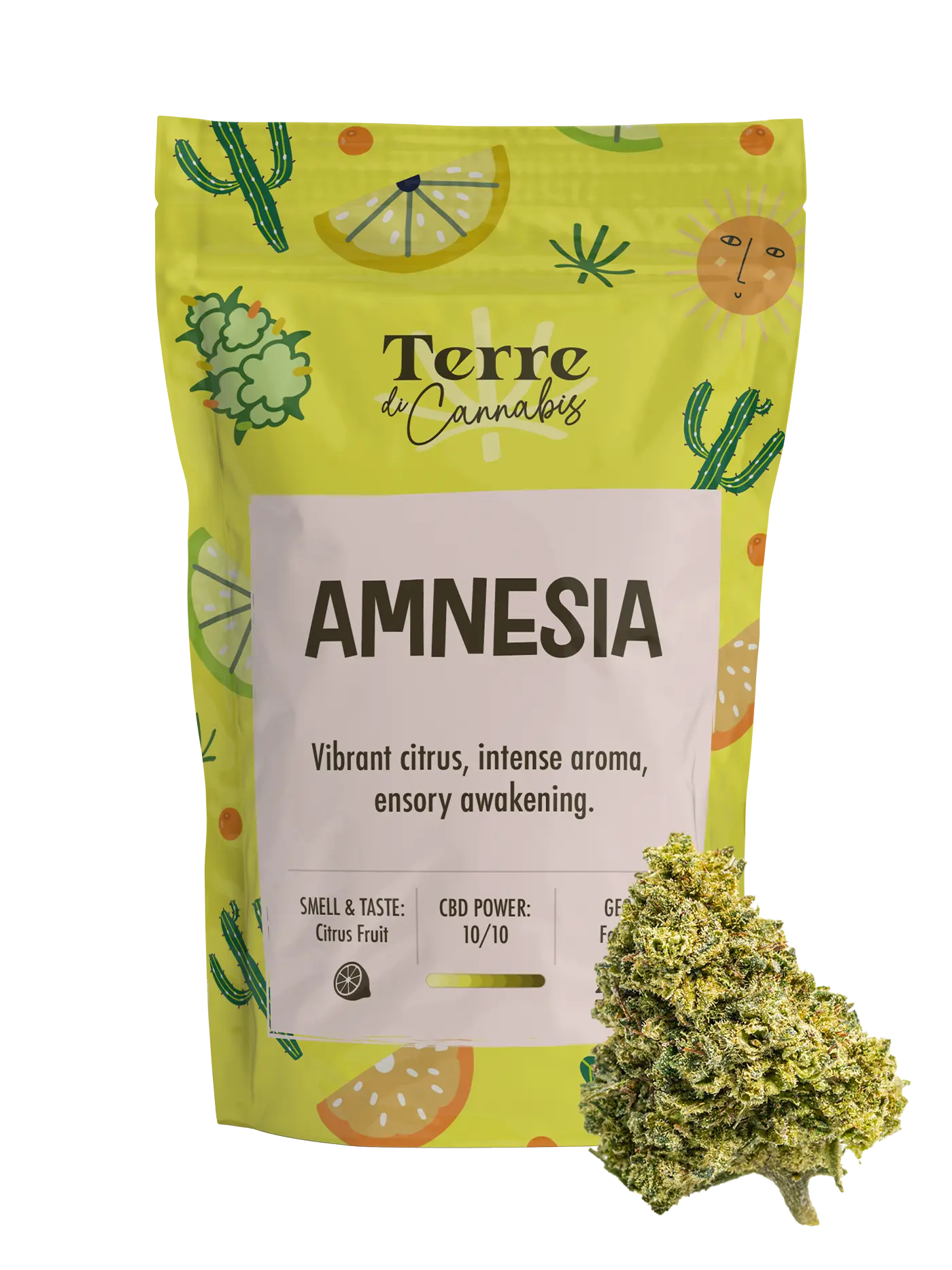 Amnesia | Fleurs de CBD