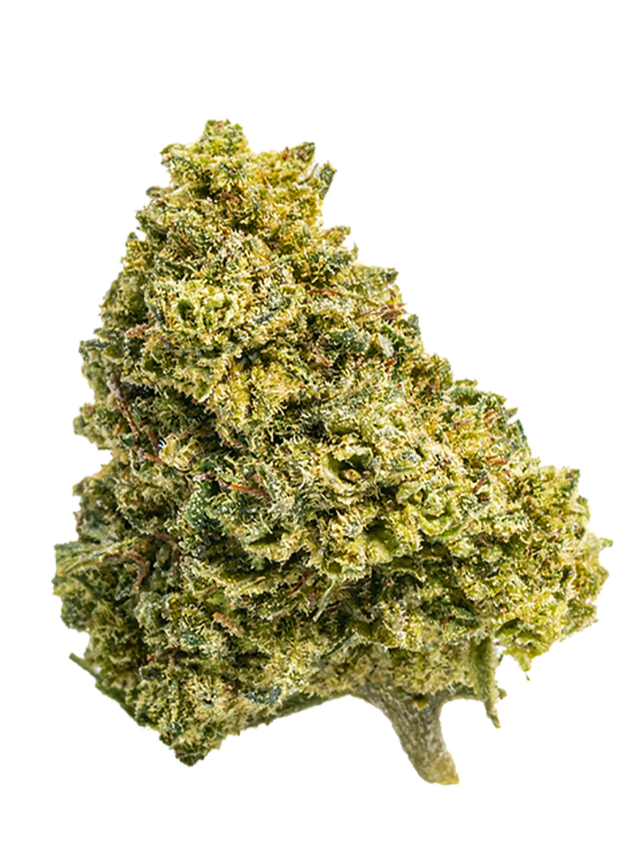 Amnesia | Fleurs de CBD