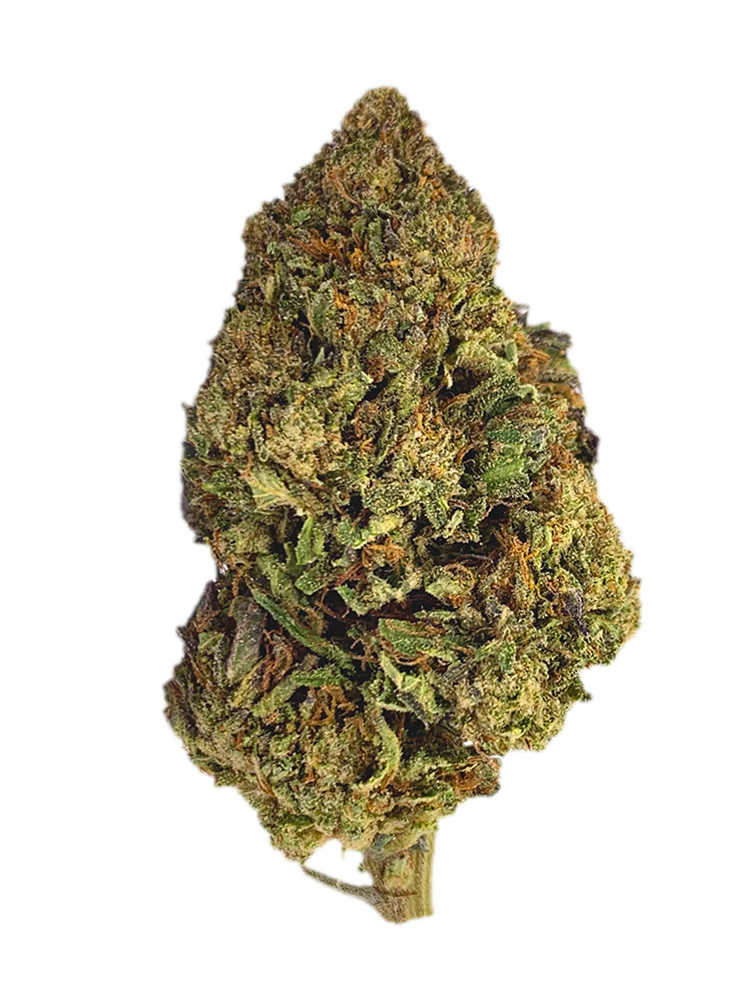 AK 47 | CBD-Blüten