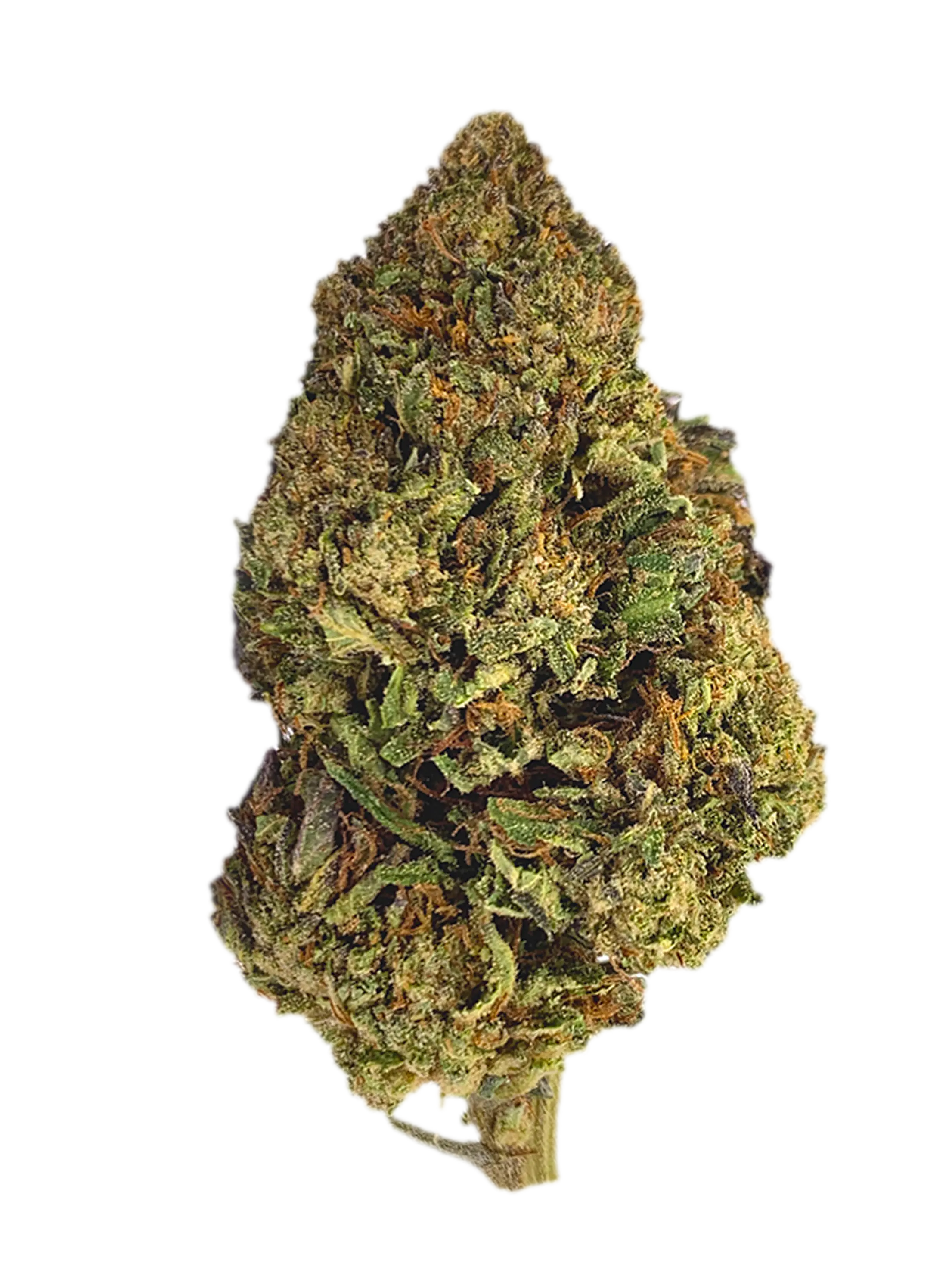 AK 47 | Fleurs de CBD