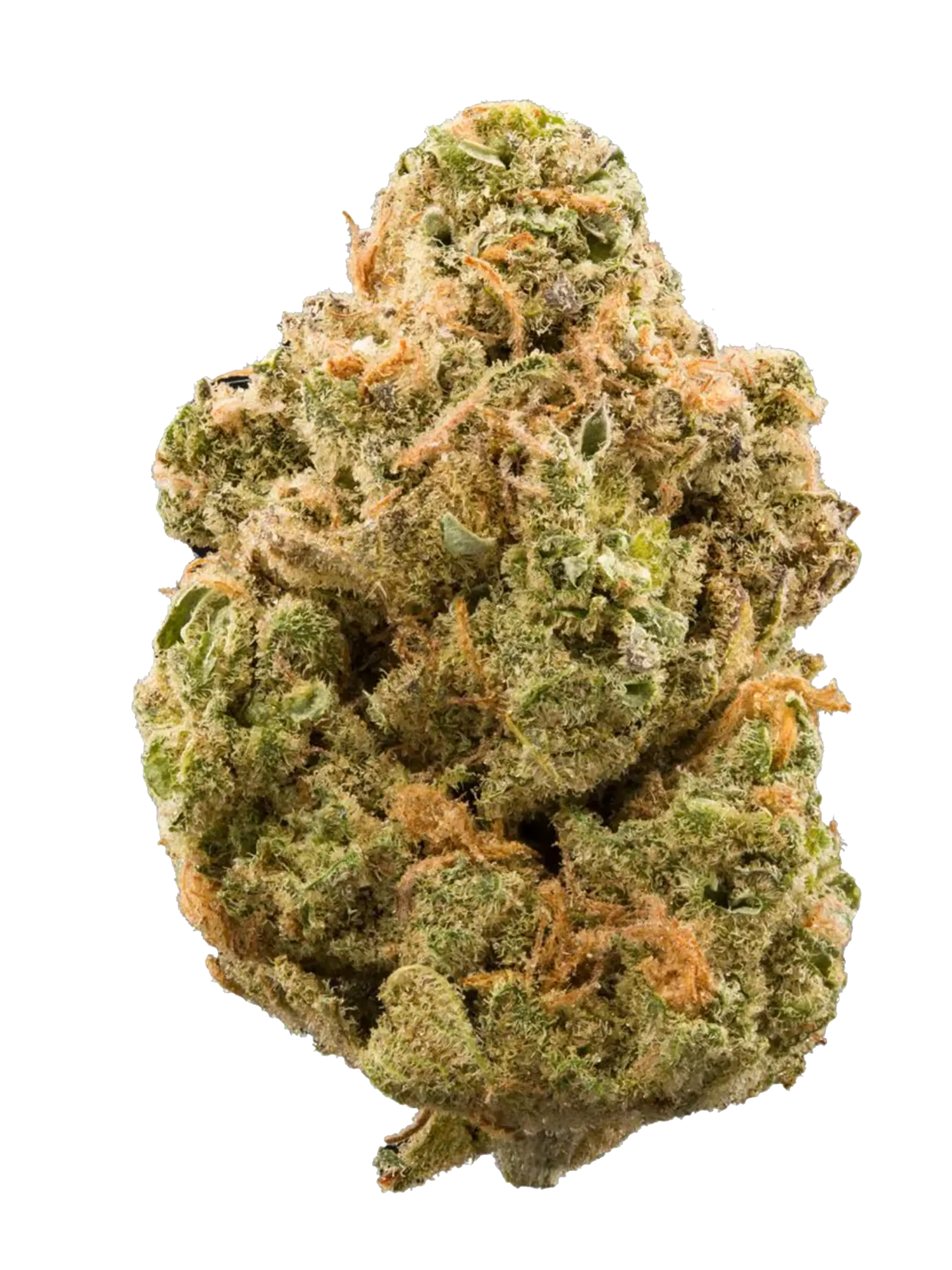 Silver Haze | CBD-Blüten