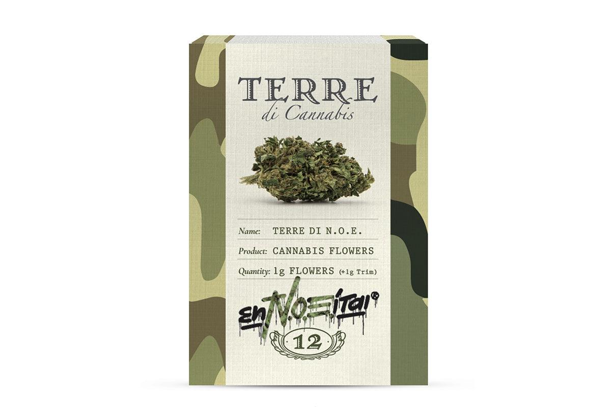 Cannabis light di qualità: Terre di Noe (EnN.O.E.Itai)