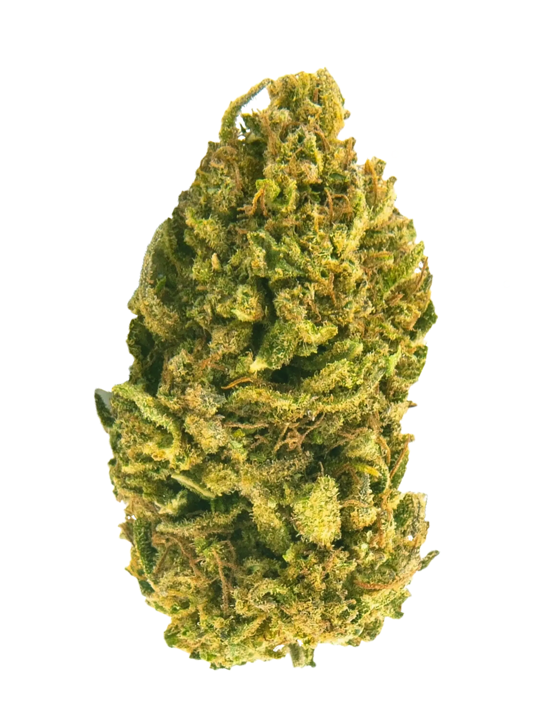 Critical Mass | 20g. | CBD-Blüten