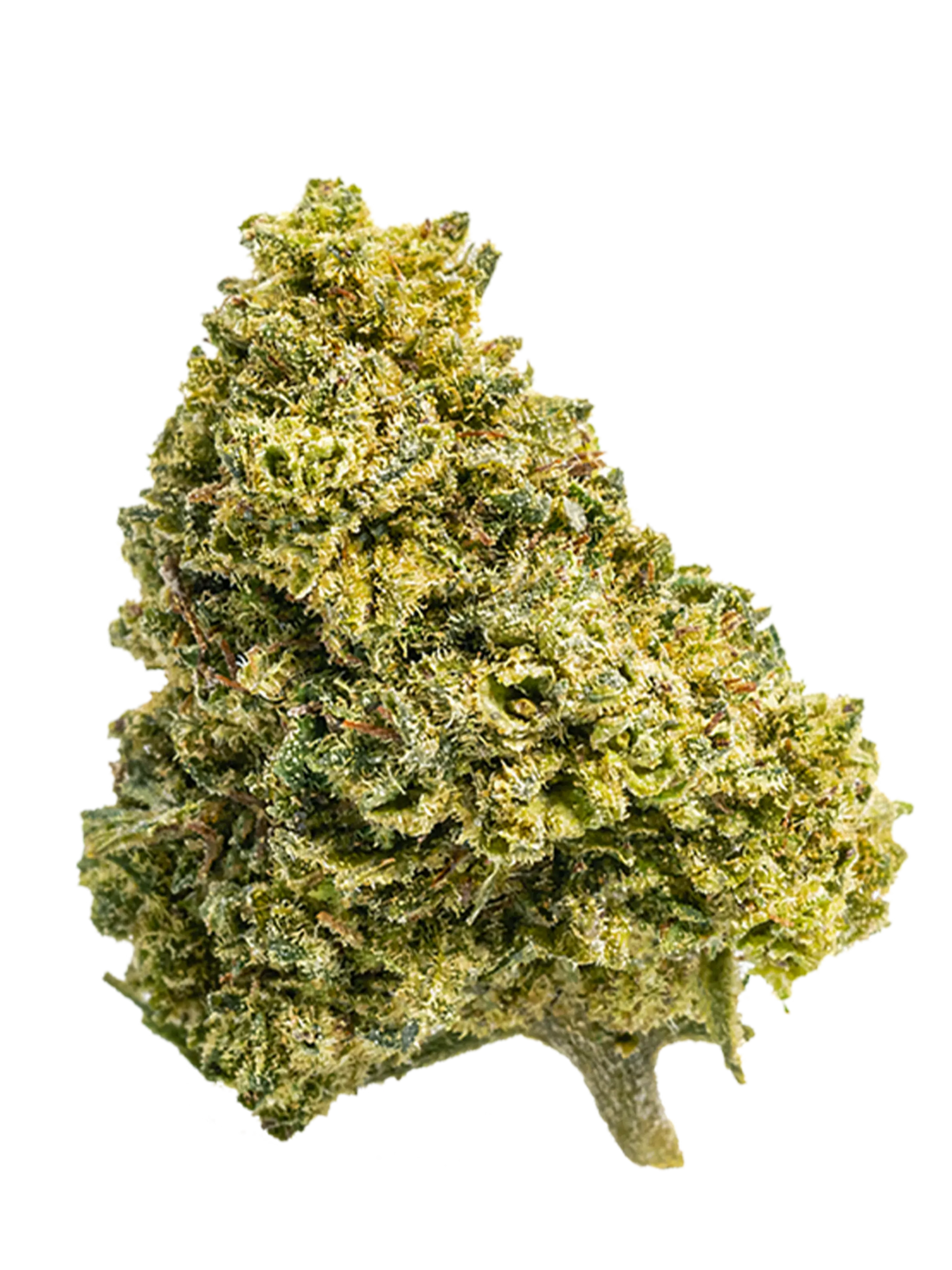 Amnesia  | CBD-Blüten