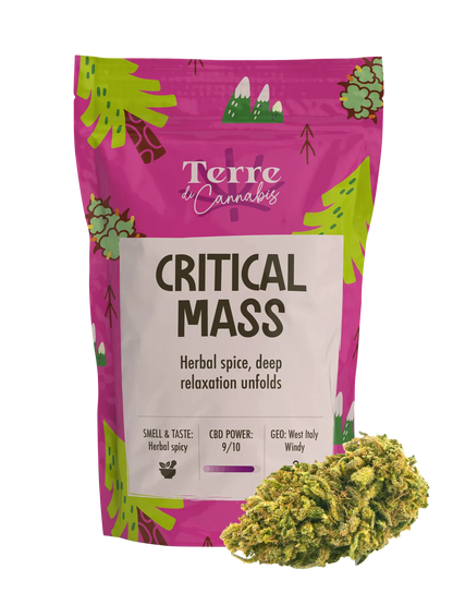 Critical Mass | 20g. | Fleurs de CBD