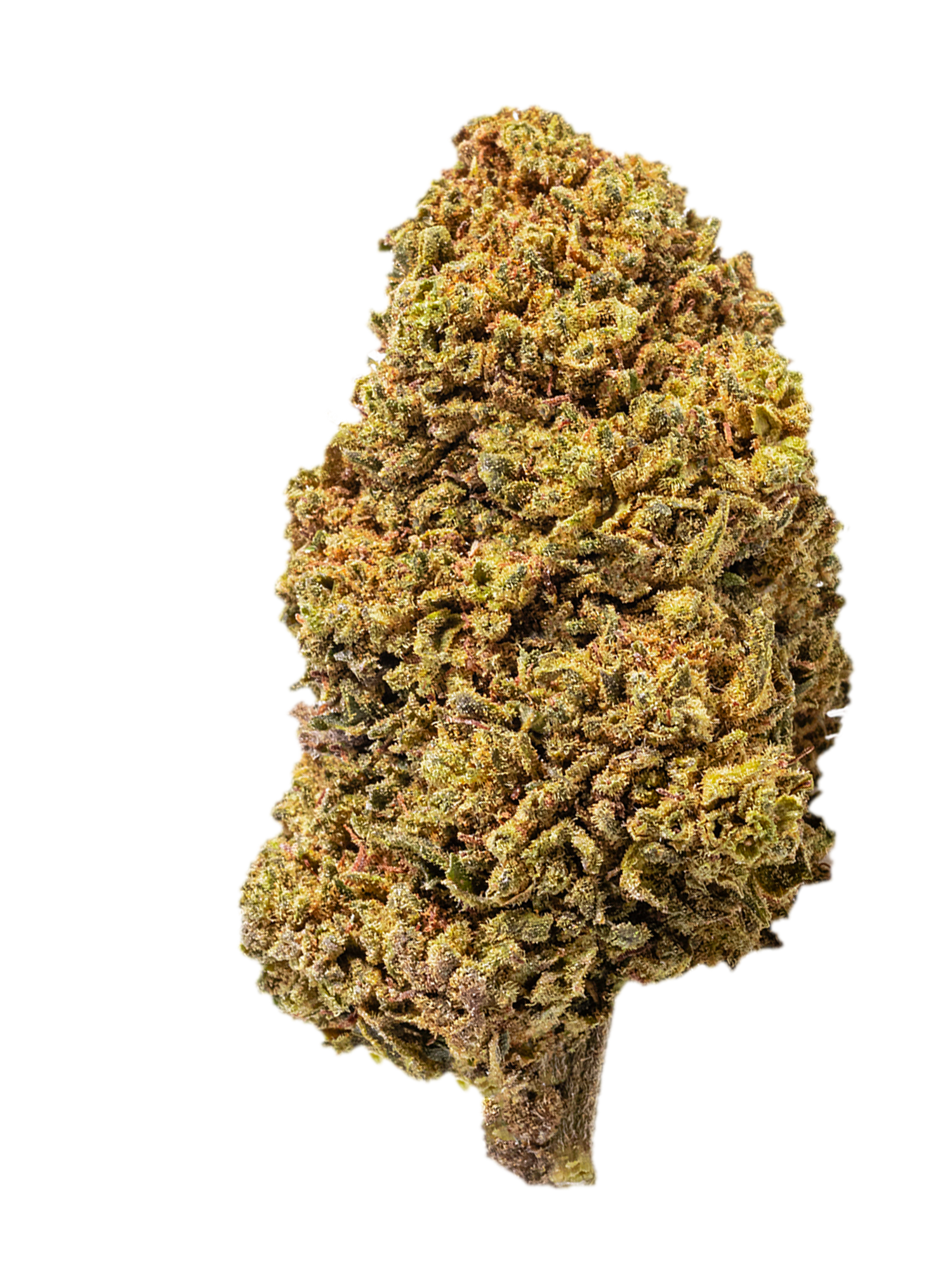 Sour Diesel  | 20g. | fiori di CBD