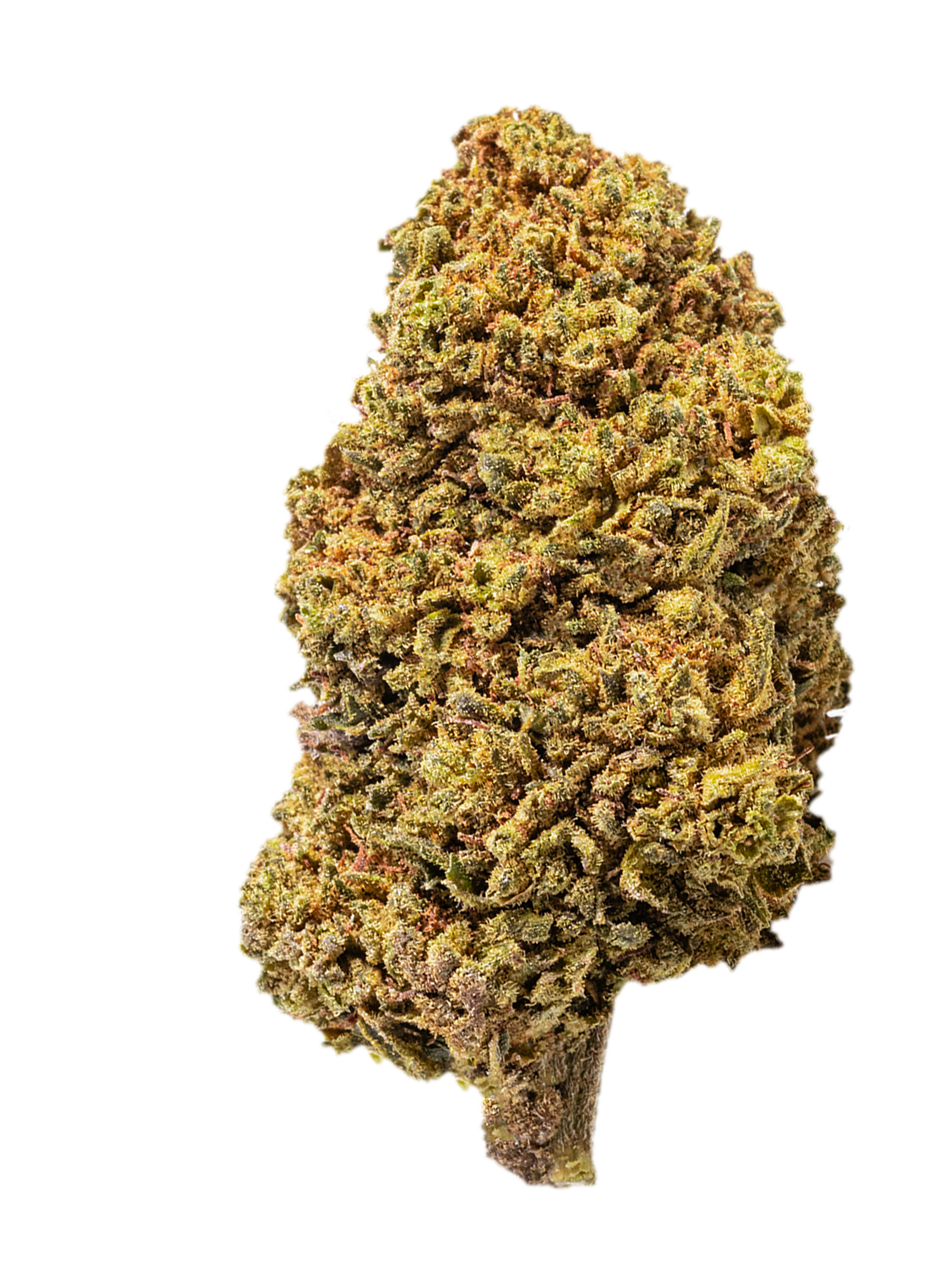 Sour Diesel  | 20g. | fiori di CBD