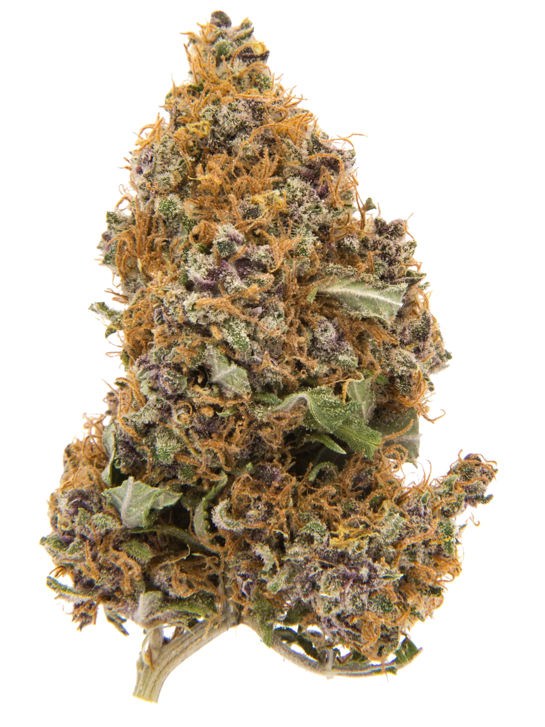 Purple Haze | CBD-Blüten