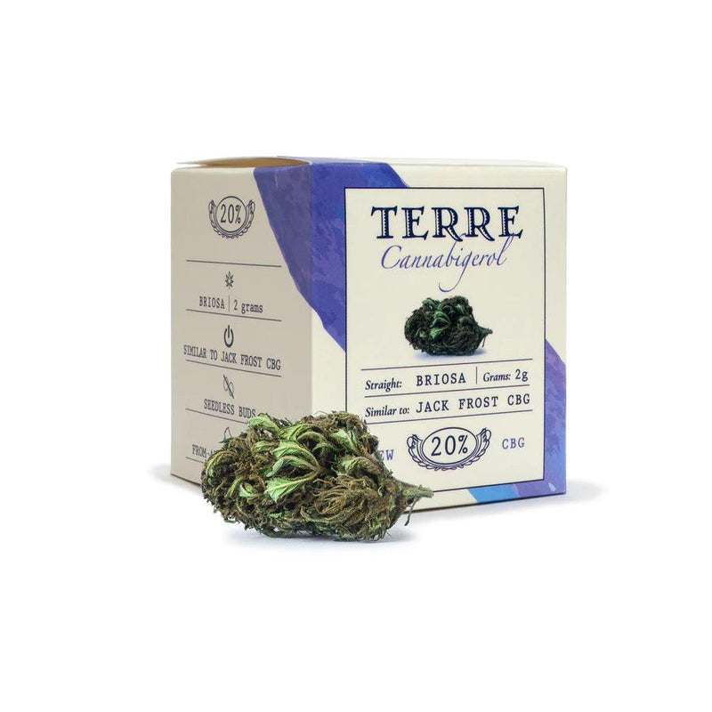 products/jack-frost-terre-di-cannabis.webp
